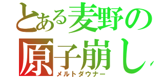 とある麦野の原子崩し（メルトダウナー）