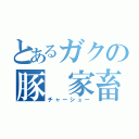 とあるガクの豚　家畜（チャーシュー）