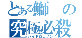 とある鰤の究極必殺（ハイドロカノン）