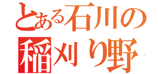 とある石川の稲刈り野郎（）