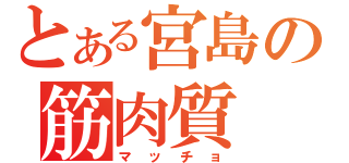 とある宮島の筋肉質（マッチョ）