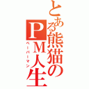 とある熊猫のＰＭ人生（ペーパーマン）