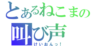 とあるねこまの叫び声（けいおんっ！）