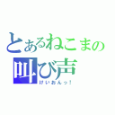 とあるねこまの叫び声（けいおんっ！）