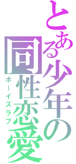 とある少年の同性恋愛（ボーイズラブ）