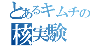 とあるキムチの核実験（）