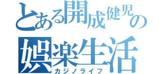 とある開成健児の娯楽生活（カジノライフ）