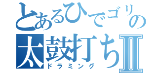 とあるひでゴリの太鼓打ちⅡ（ドラミング）