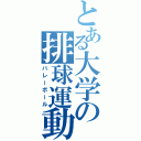 とある大学の排球運動（バレーボール）