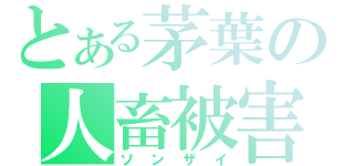 とある茅葉の人畜被害（ソンザイ）