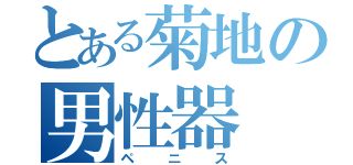 とある菊地の男性器（ペニス）