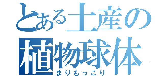とある土産の植物球体（まりもっこり）