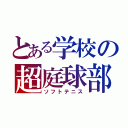 とある学校の超庭球部（ソフトテニス）