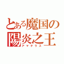 とある魔国の陽炎之王（アマテラス）