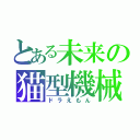 とある未来の猫型機械（ドラえもん）