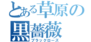 とある草原の黒薔薇（ブラックローズ）