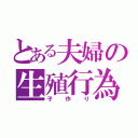 とある夫婦の生殖行為（子作り）