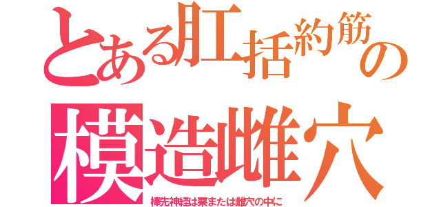 とある肛括約筋の模造雌穴（棒先神経は栗または雌穴の中に）