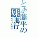 とある藤平の妹進行（いもうともえ）