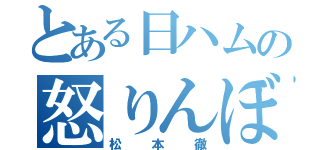 とある日ハムの怒りんぼ（松本徹）