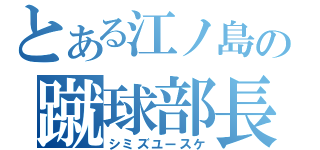 とある江ノ島の蹴球部長（シミズユースケ）