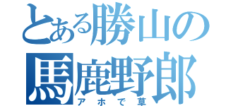 とある勝山の馬鹿野郎（アホで草）