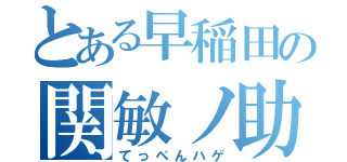 とある早稲田の関敏ノ助（てっぺんハゲ）