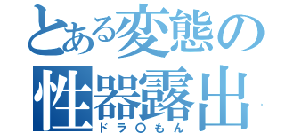 とある変態の性器露出（ドラ〇もん）