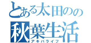 とある太田のの秋葉生活（アキバライフ）