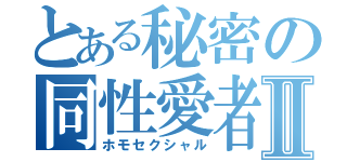 とある秘密の同性愛者Ⅱ（ホモセクシャル）