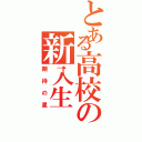 とある高校の新入生（期待の星）