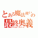 とある魔法使いの最終奥義（マスタースパーク）