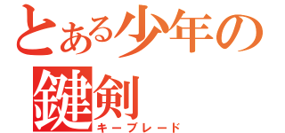 とある少年の鍵剣（キーブレード）