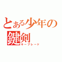 とある少年の鍵剣（キーブレード）