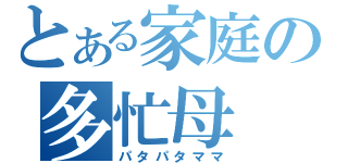 とある家庭の多忙母（パタパタママ）