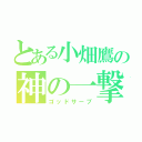 とある小畑鷹の神の一撃（ゴッドサーブ）