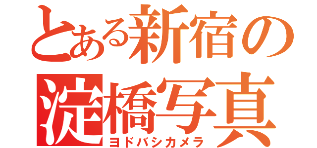 とある新宿の淀橋写真（ヨドバシカメラ）