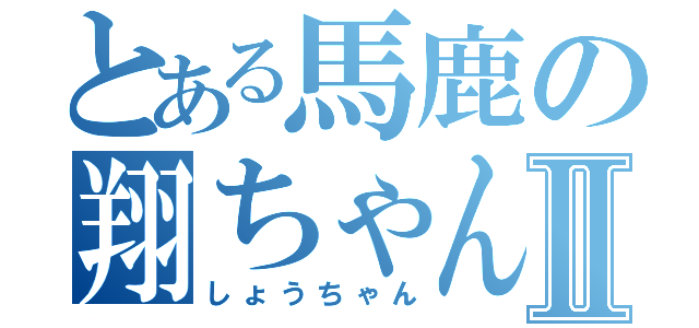 とある馬鹿の翔ちゃんⅡ（しょうちゃん）