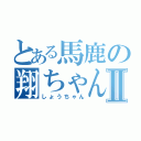 とある馬鹿の翔ちゃんⅡ（しょうちゃん）