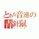 とある音速の青針鼠（ソニック）