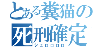 とある糞猫の死刑確定（シュロロロロ）