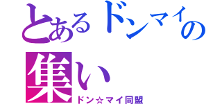 とあるドンマイ人間の集い（ドン☆マイ同盟）