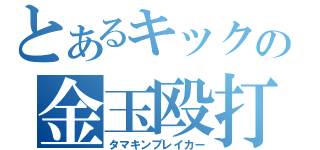 とあるキックの金玉殴打（タマキンブレイカー）