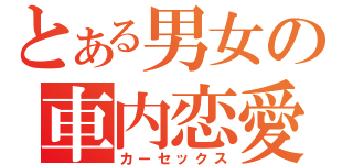 とある男女の車内恋愛（カーセックス）