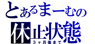 とあるまーむの休止状態（３ヶ月後まで）