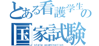 とある看護学生の国家試験（ｓｔａｔｅ ｅｘａｍｉｎａｔｉｏｎ）