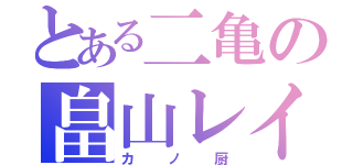 とある二亀の畠山レイ（カノ厨）