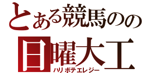 とある競馬のの日曜大工（ハリボテエレジー）