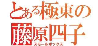 とある極東の藤原四子（スモールポックス）