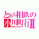 とある相鉄の小川町行Ⅱ（特急小川町行き）